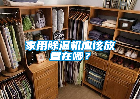 家用除濕機應該放置在哪？