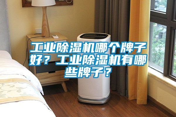 工業(yè)除濕機(jī)哪個牌子好？工業(yè)除濕機(jī)有哪些牌子？