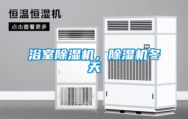 浴室除濕機(jī)，除濕機(jī)冬天