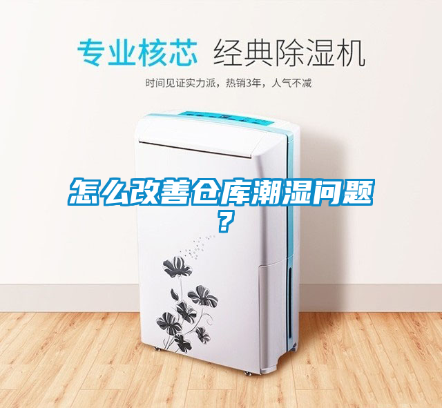 怎么改善倉庫潮濕問題？