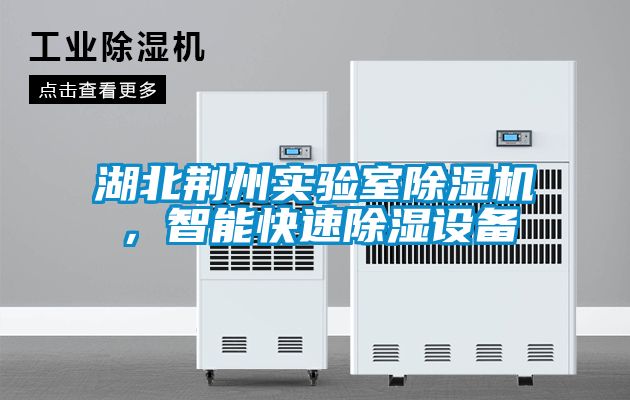 湖北荊州實(shí)驗(yàn)室除濕機(jī)，智能快速除濕設(shè)備