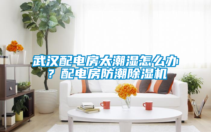 武漢配電房太潮濕怎么辦？配電房防潮除濕機
