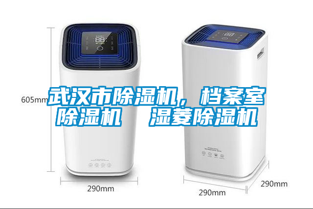 武漢市除濕機，檔案室除濕機  濕菱除濕機