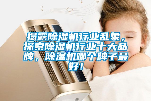 揭露除濕機(jī)行業(yè)亂象，探索除濕機(jī)行業(yè)十大品牌，除濕機(jī)哪個(gè)牌子最好！