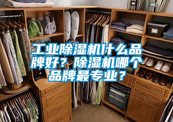 工業(yè)除濕機(jī)什么品牌好？除濕機(jī)哪個(gè)品牌最專業(yè)？
