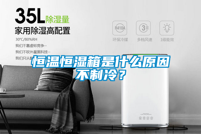 恒溫恒濕箱是什么原因不制冷？