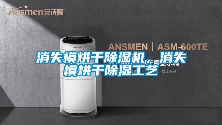 消失模烘干除濕機，消失模烘干除濕工藝