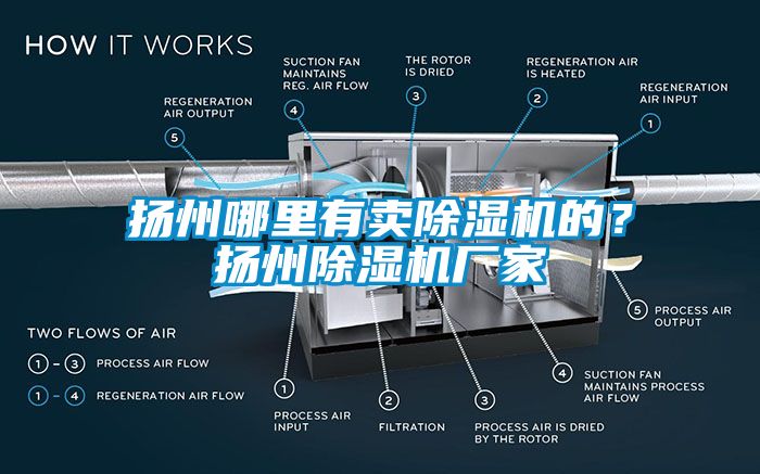 揚州哪里有賣除濕機的？揚州除濕機廠家