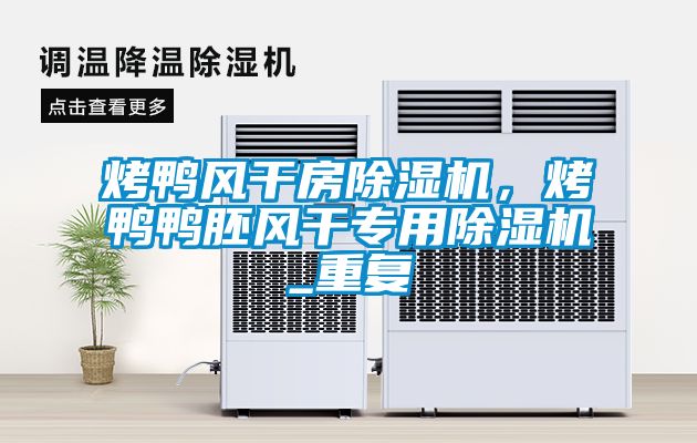 烤鴨風(fēng)干房除濕機(jī)，烤鴨鴨胚風(fēng)干專用除濕機(jī)_重復(fù)