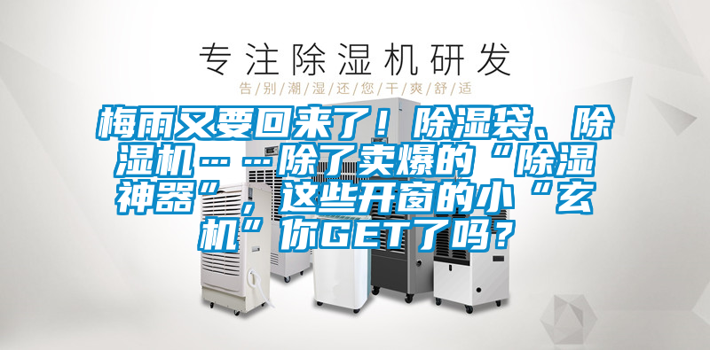 梅雨又要回來了！除濕袋、除濕機(jī)……除了賣爆的“除濕神器”，這些開窗的小“玄機(jī)”你GET了嗎？