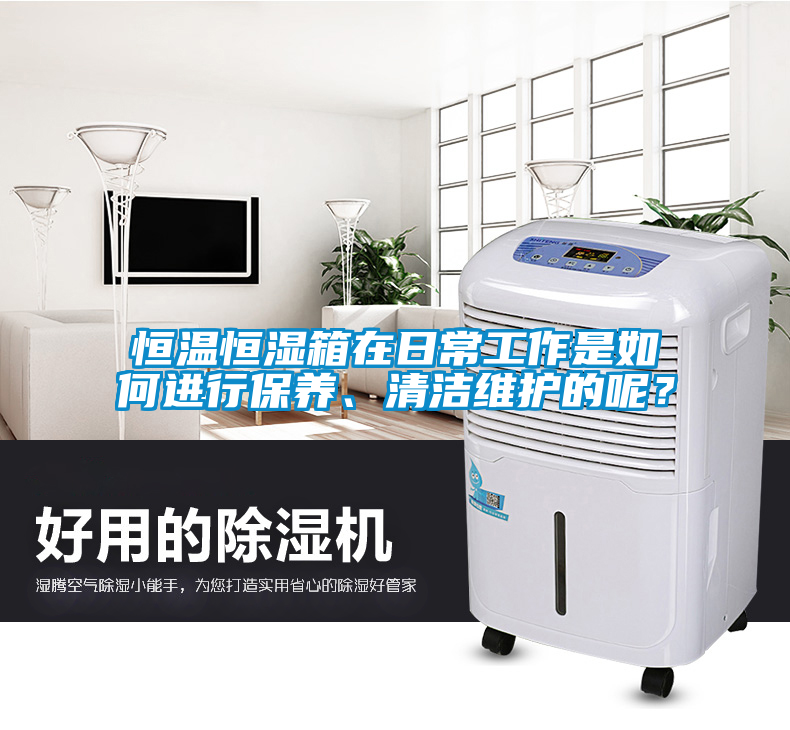 恒溫恒濕箱在日常工作是如何進行保養(yǎng)、清潔維護的呢？