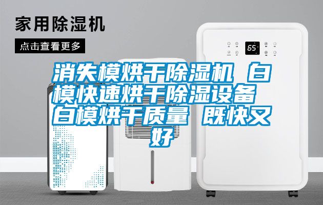 消失模烘干除濕機 白?？焖俸娓沙凉裨O(shè)備 白模烘干質(zhì)量 既快又好
