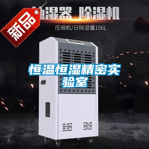 恒溫恒濕精密實(shí)驗室
