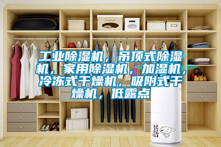 工業(yè)除濕機(jī)，吊頂式除濕機(jī)，家用除濕機(jī)，加濕機(jī)，冷凍式干燥機(jī)，吸附式干燥機(jī)，低露點(diǎn)