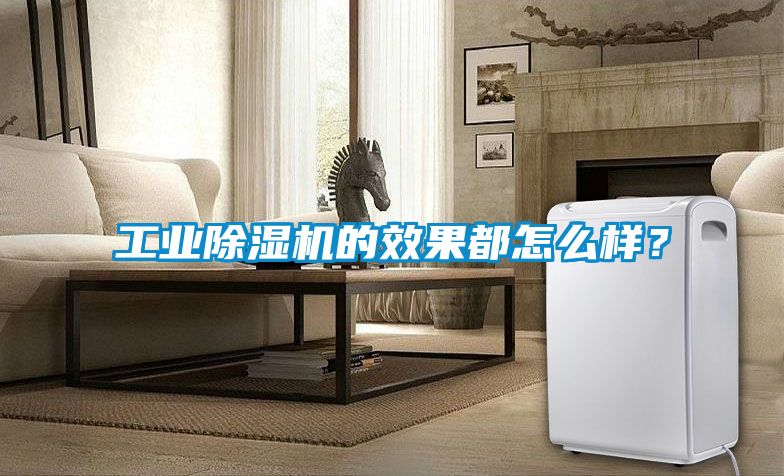 工業(yè)除濕機(jī)的效果都怎么樣？
