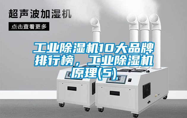 工業(yè)除濕機10大品牌排行榜，工業(yè)除濕機原理(5)