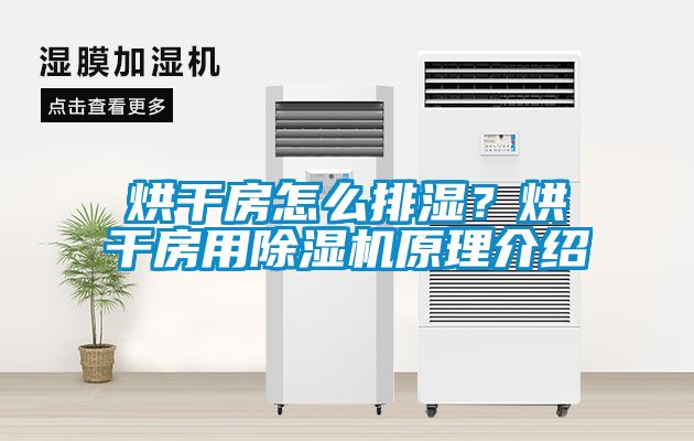 烘干房怎么排濕？烘干房用除濕機(jī)原理介紹