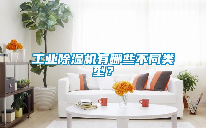 工業(yè)除濕機(jī)有哪些不同類(lèi)型？