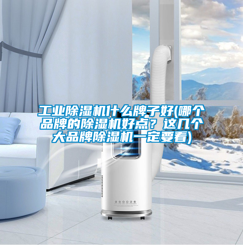 工業(yè)除濕機(jī)什么牌子好(哪個(gè)品牌的除濕機(jī)好點(diǎn)？這幾個(gè)大品牌除濕機(jī)一定要看)
