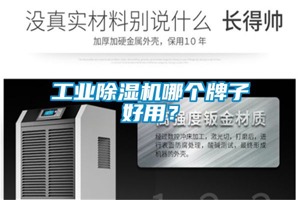 工業(yè)除濕機(jī)哪個牌子好用？