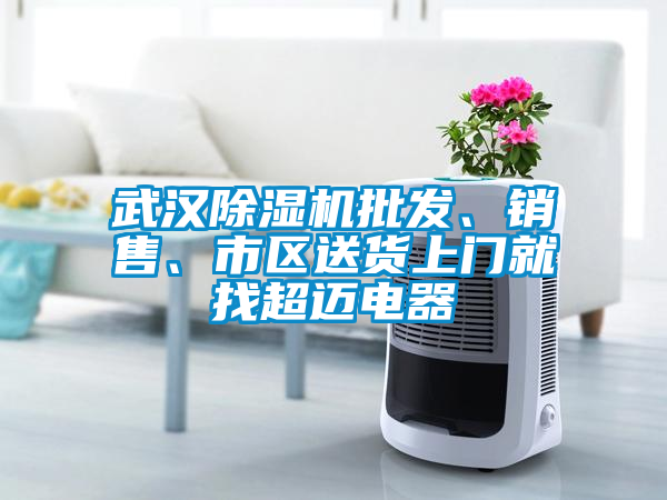 武漢除濕機(jī)批發(fā)、銷售、市區(qū)送貨上門(mén)就找超邁電器