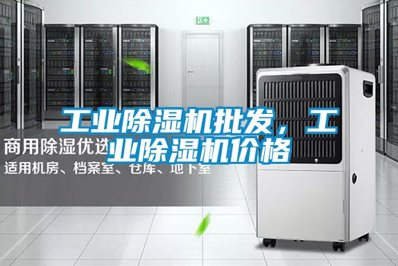 工業(yè)除濕機(jī)批發(fā)，工業(yè)除濕機(jī)價(jià)格