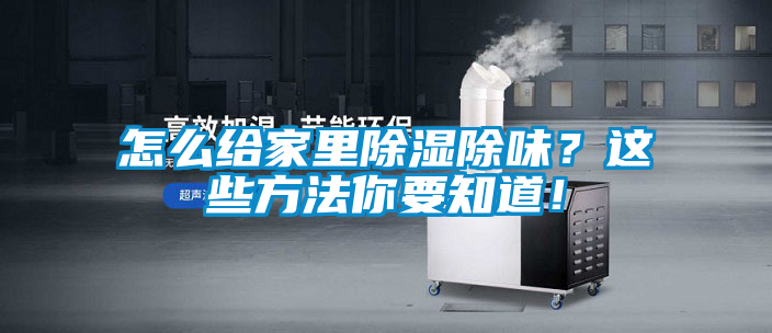 怎么給家里除濕除味？這些方法你要知道！
