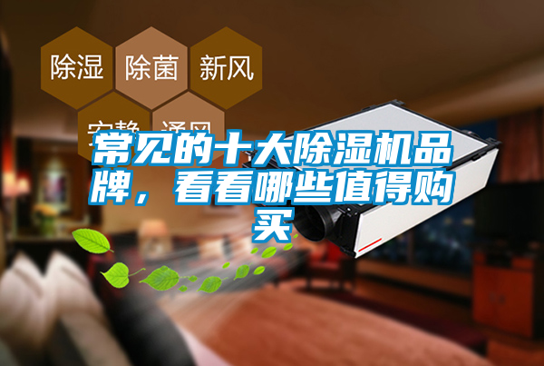 常見的十大除濕機品牌，看看哪些值得購買