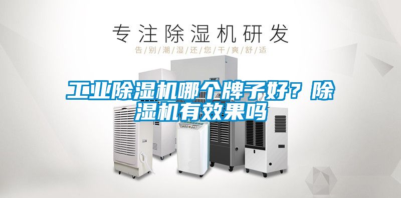 工業(yè)除濕機(jī)哪個牌子好？除濕機(jī)有效果嗎