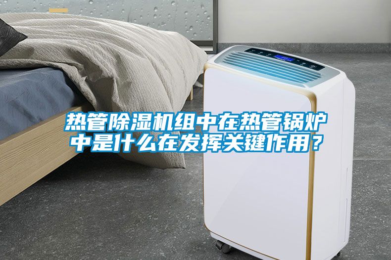 熱管除濕機(jī)組中在熱管鍋爐中是什么在發(fā)揮關(guān)鍵作用？