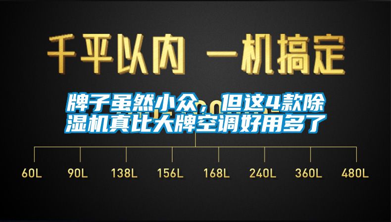 牌子雖然小眾，但這4款除濕機真比大牌空調(diào)好用多了