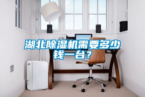 湖北除濕機需要多少錢一臺？