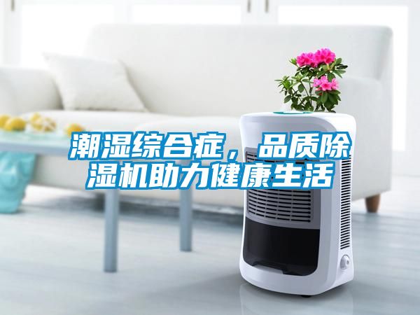 潮濕綜合癥，品質除濕機助力健康生活