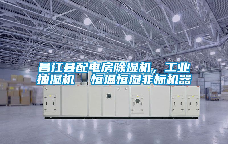 昌江縣配電房除濕機(jī)，工業(yè)抽濕機(jī)  恒溫恒濕非標(biāo)機(jī)器