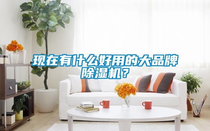 現(xiàn)在有什么好用的大品牌除濕機(jī)？