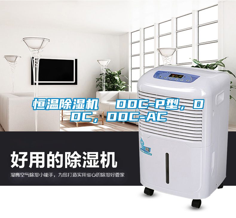 恒溫除濕機(jī)  DDC-P型，DDC，DDC-AC
