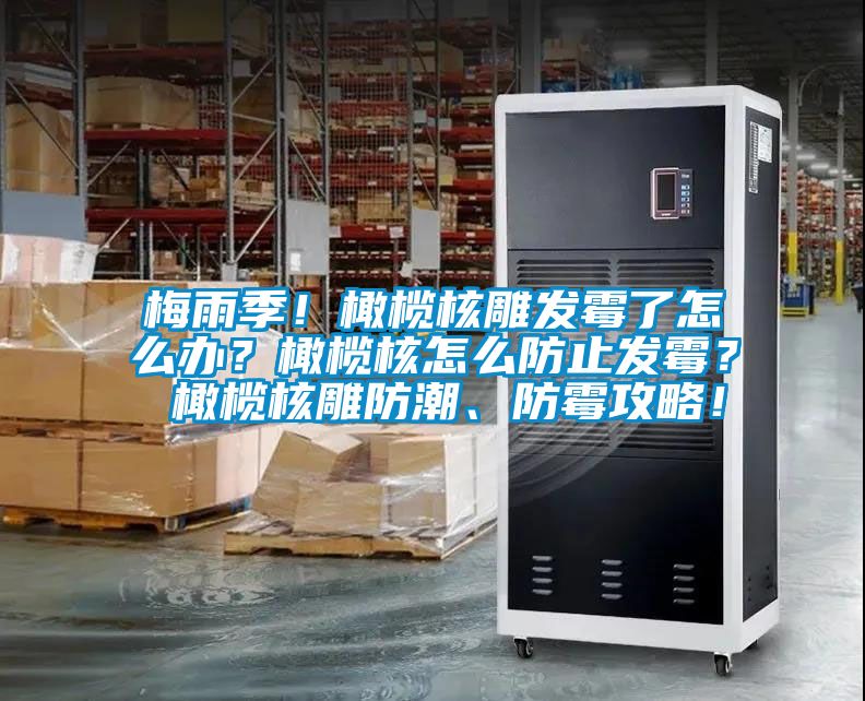 梅雨季！橄欖核雕發(fā)霉了怎么辦？橄欖核怎么防止發(fā)霉？ 橄欖核雕防潮、防霉攻略！