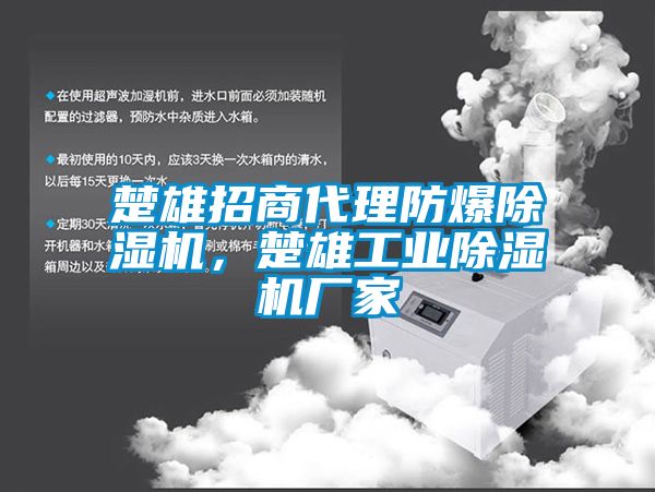 楚雄招商代理防爆除濕機，楚雄工業(yè)除濕機廠家