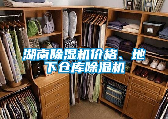 湖南除濕機(jī)價(jià)格、地下倉(cāng)庫(kù)除濕機(jī)