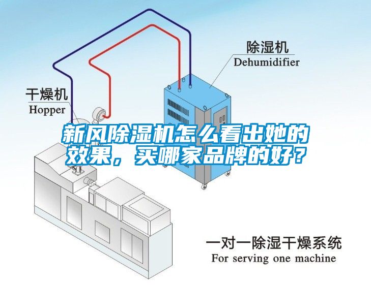 新風(fēng)除濕機(jī)怎么看出她的效果，買哪家品牌的好？