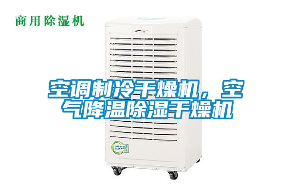 空調(diào)制冷干燥機(jī)，空氣降溫除濕干燥機(jī)