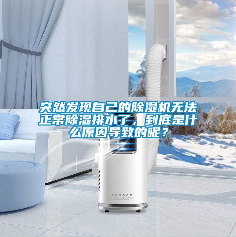 突然發(fā)現(xiàn)自己的除濕機(jī)無(wú)法正常除濕排水了，到底是什么原因?qū)е碌哪兀?/></p>
						    <p style=