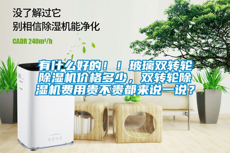 有什么好的??！玻璃雙轉(zhuǎn)輪除濕機(jī)價(jià)格多少，雙轉(zhuǎn)輪除濕機(jī)費(fèi)用貴不貴都來說一說？