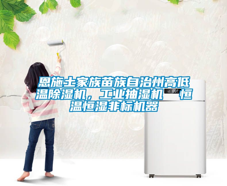恩施土家族苗族自治州高低溫除濕機(jī)，工業(yè)抽濕機(jī)  恒溫恒濕非標(biāo)機(jī)器