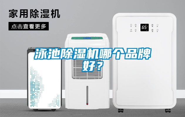 泳池除濕機哪個品牌好？