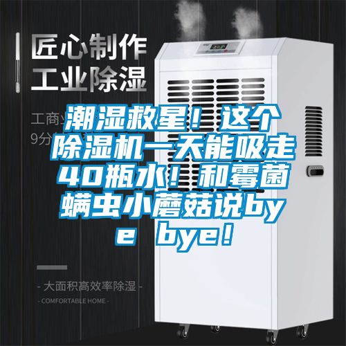 潮濕救星！這個除濕機一天能吸走40瓶水！和霉菌螨蟲小蘑菇說bye bye！