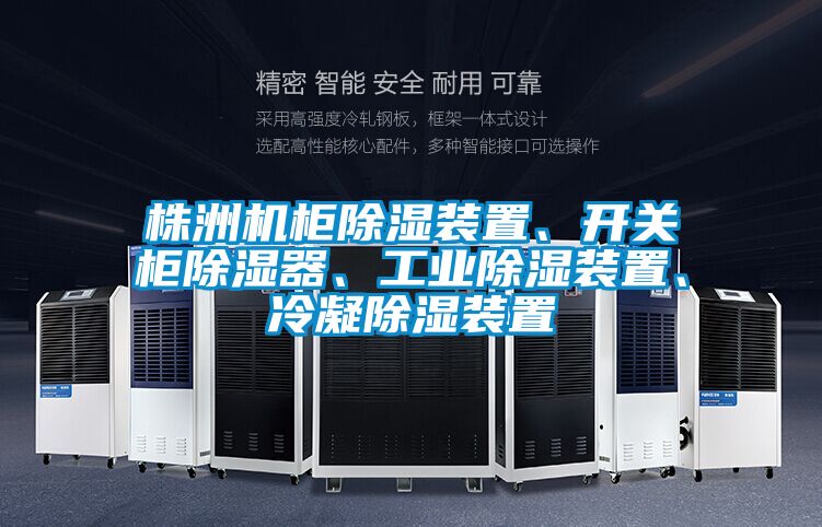 株洲機(jī)柜除濕裝置、開(kāi)關(guān)柜除濕器、工業(yè)除濕裝置、冷凝除濕裝置