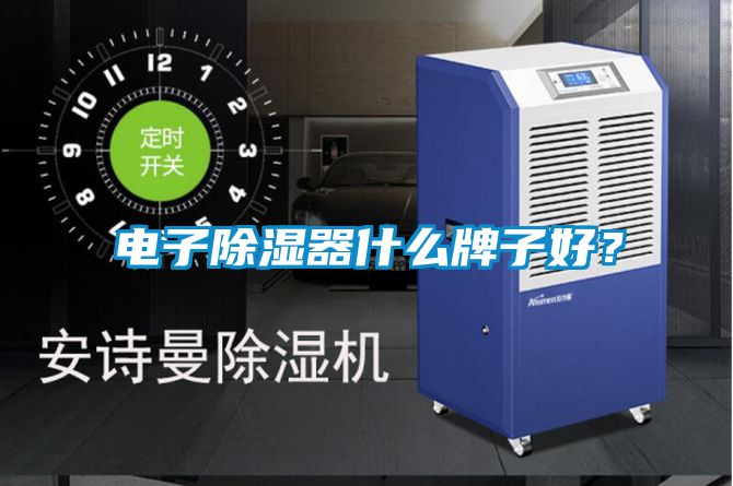 電子除濕器什么牌子好？