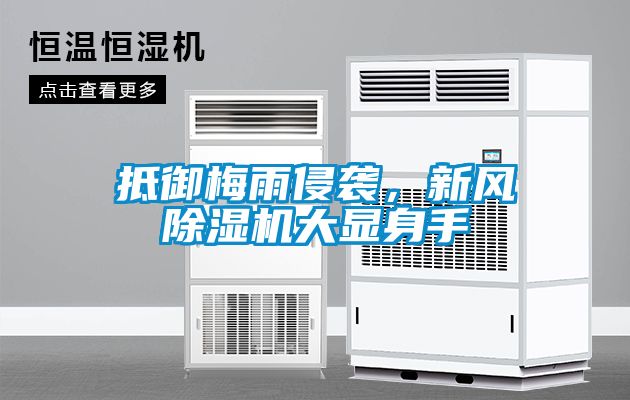 抵御梅雨侵襲，新風除濕機大顯身手