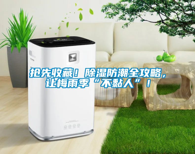 搶先收藏！除濕防潮全攻略，讓梅雨季“不黏人”！